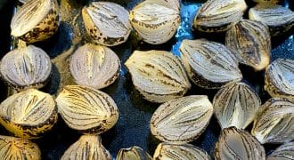 Halved onions with charred, caramelised edges are arranged cut side up on a dark baking tray, showing layers and grill marks from roasting or grilling.