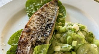 Grilled Mackerel with Cucumber & Ginger Pickle