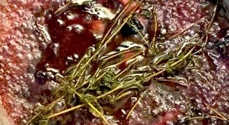 A close-up of a simmering pot with red wine, fresh thyme sprigs, a bay leaf, and chunks of vegetables, likely preparing a sauce or reduction. Bubbles are visible on the surface as it cooks.