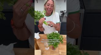 How to keep herbs fresh